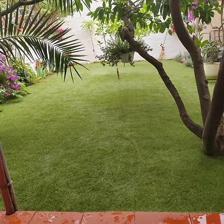 Gareta Apartmán Gradac (Split-Dalmatia)