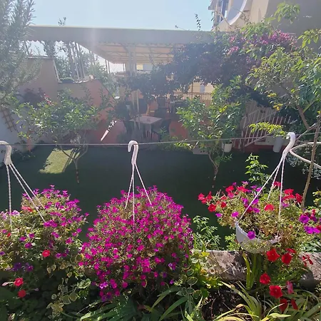 Gareta Apartamento Gradac (Split-Dalmatia)